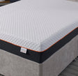 Posture Flex Ariel (2000) Encapsulated Soft Memory Mattress